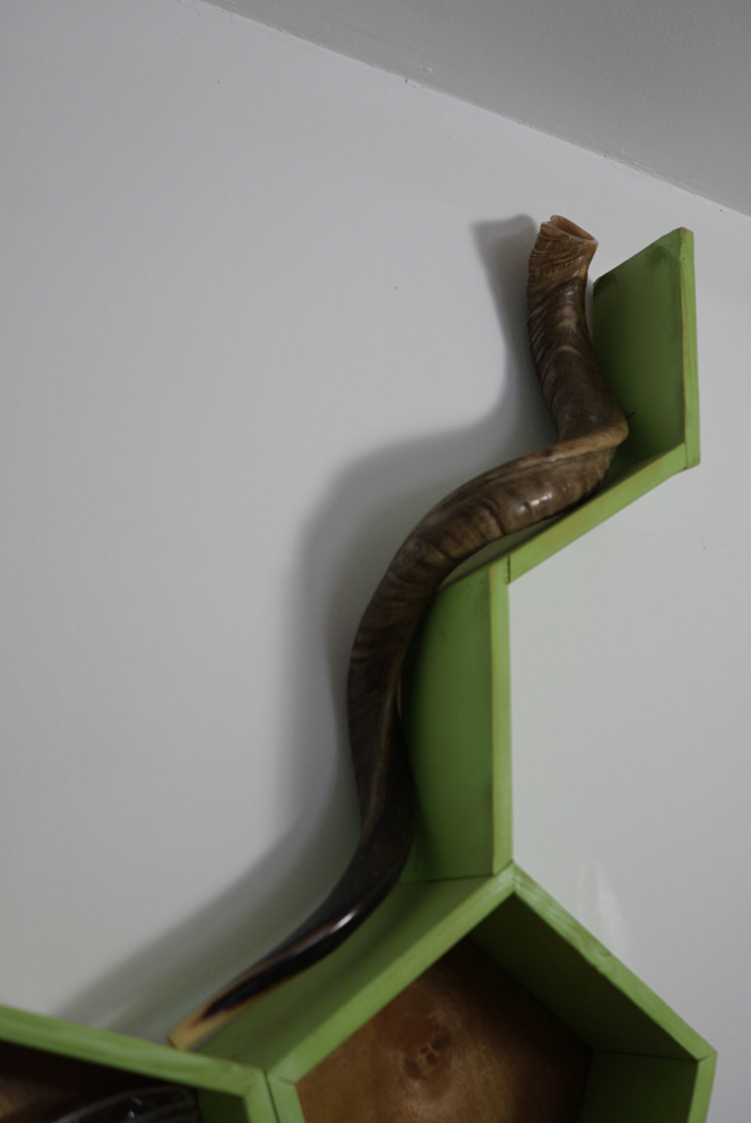 Happy Trumpet & Teffilin Shelf