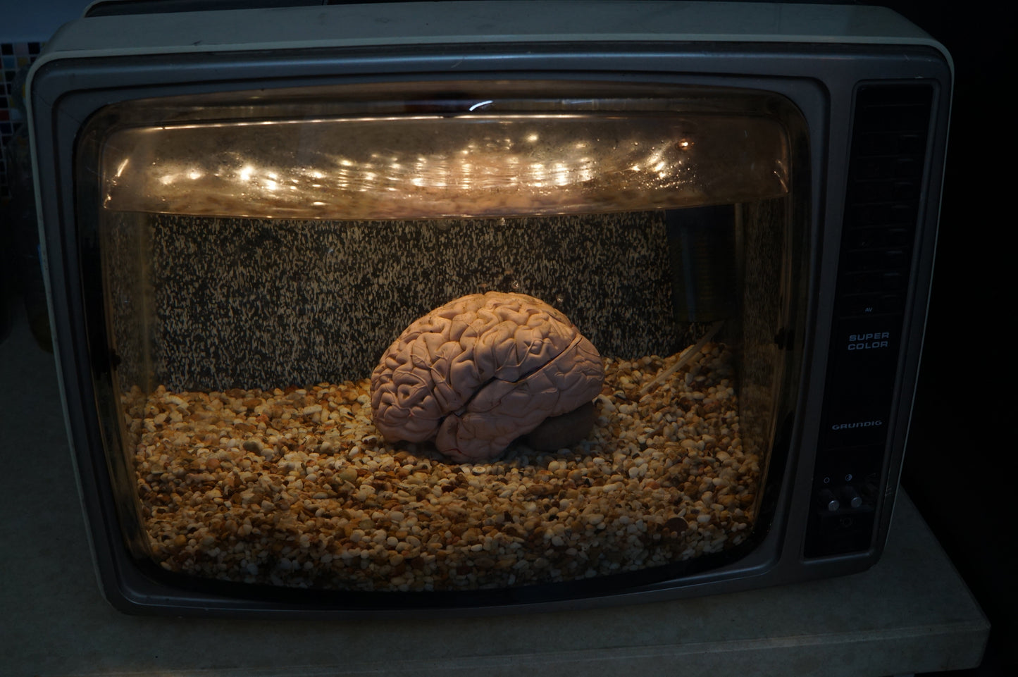 Mind Control Aquaponic Fishtank