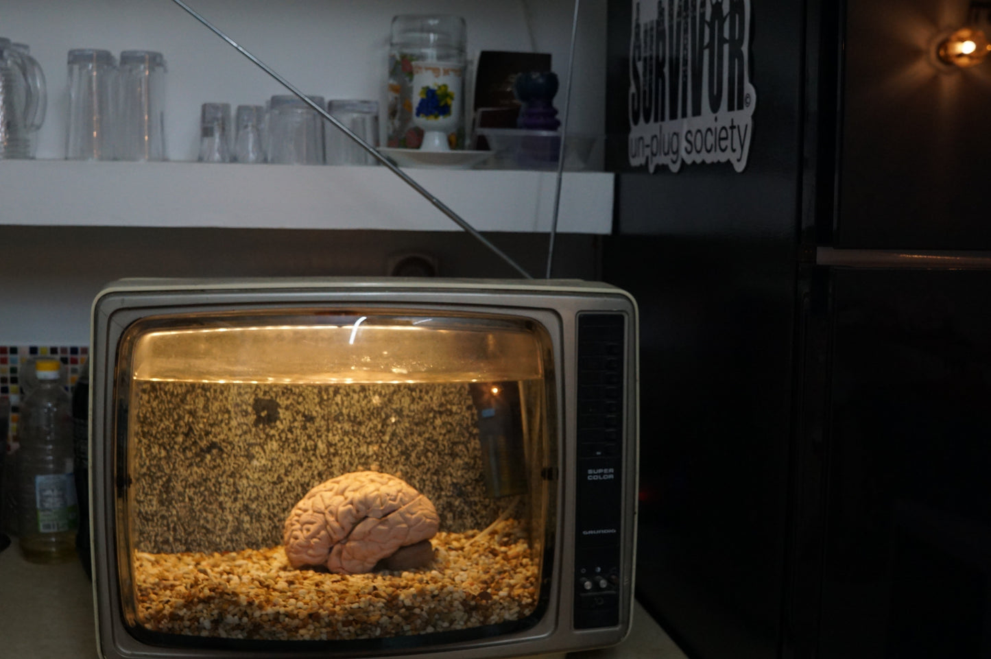 Mind Control Aquaponic Fishtank