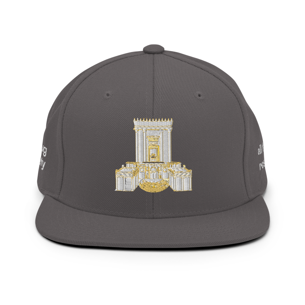 3rd Temple Snapback Hat