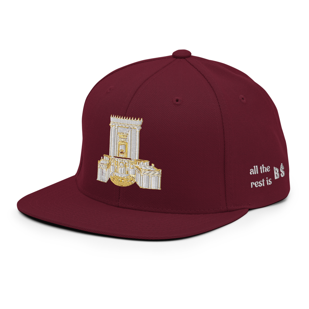 3rd Temple Snapback Hat