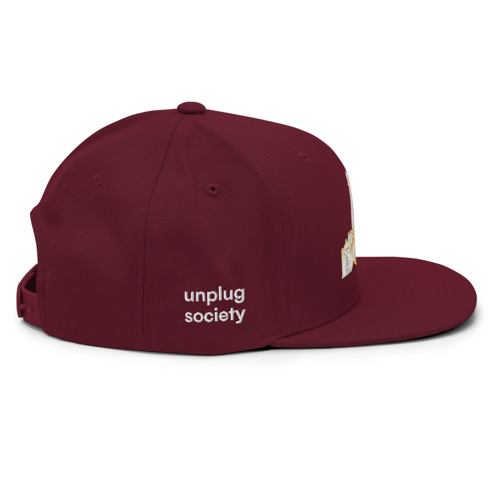 3rd Temple Snapback Hat