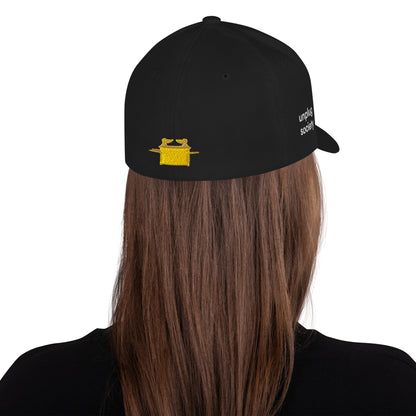 Holy Of Holies Ark of the Covenant structured cap – black, back view (2)