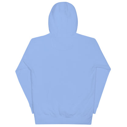 Babylon Survivor BS hoodie – carolina blue, back view (2)