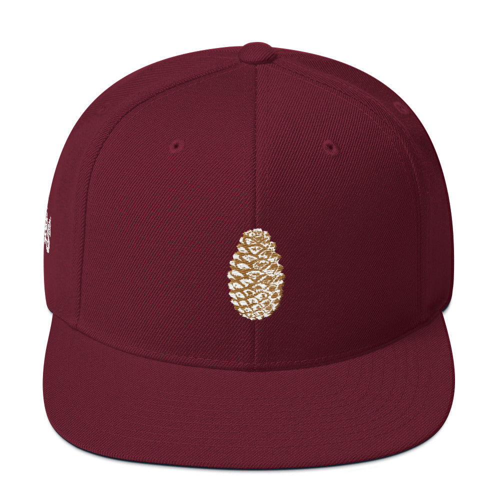 Pineal Gland Pine Cone Snapback Hat
