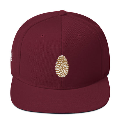 Pineal Gland pine cone snapback hat